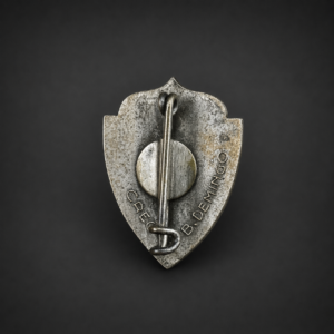 Insignia mariana "Año Mariano Arquidiocesano", ca. 1954.